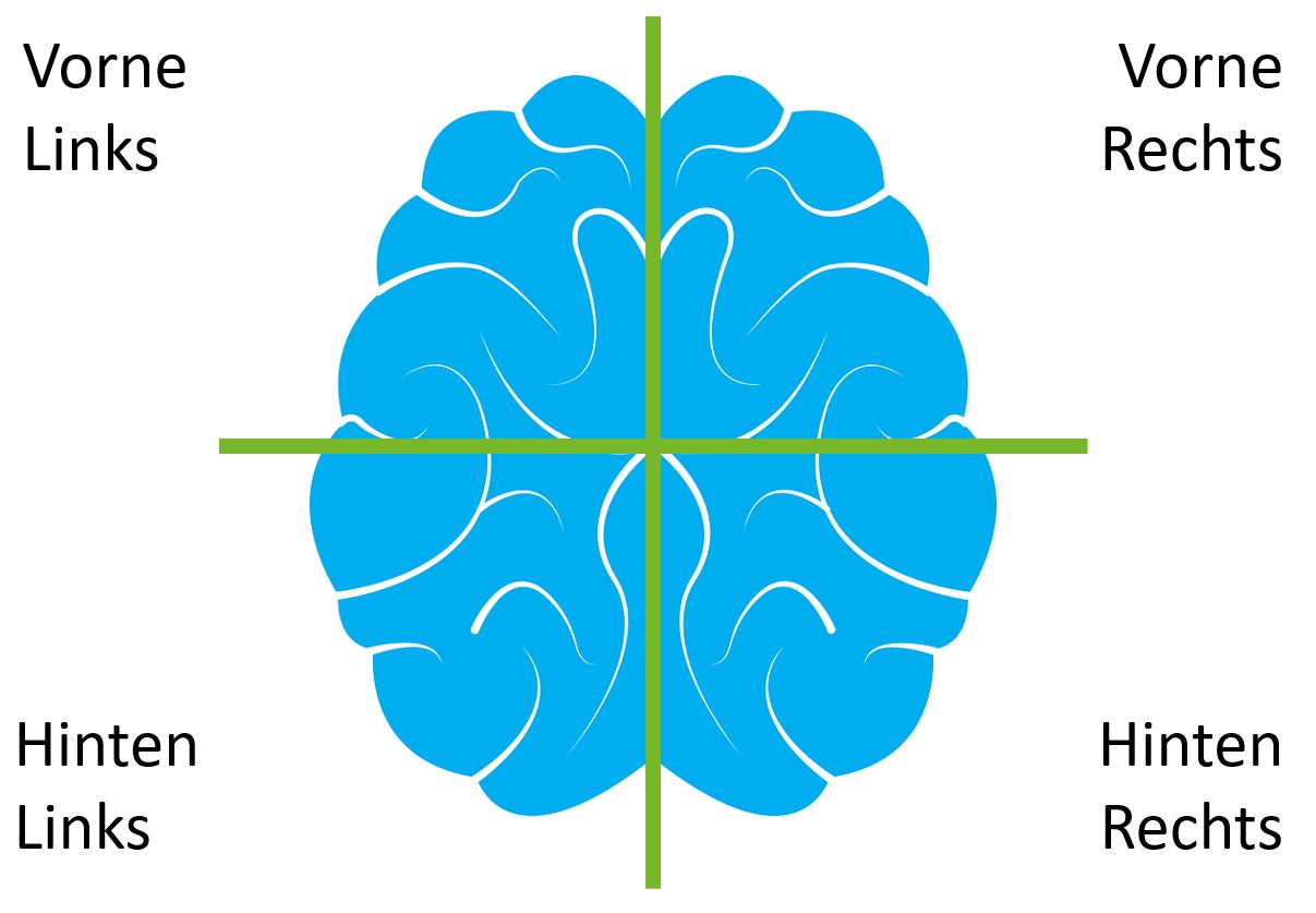 Die 4 Zonen des Gehirns
